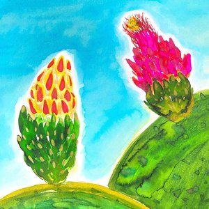 Fruition Original Handmade Watercolor Cactus Flower Painting 11x14in White Mat